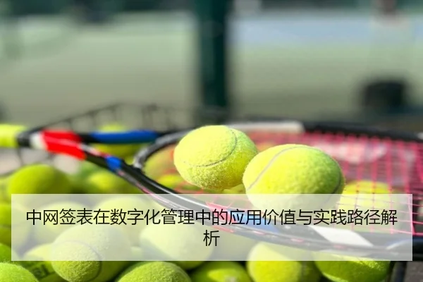 中网签表在数字化管理中的应用价值与实践路径解析