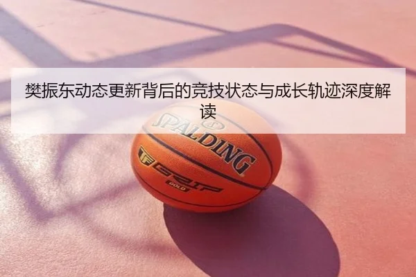 樊振东动态更新背后的竞技状态与成长轨迹深度解读