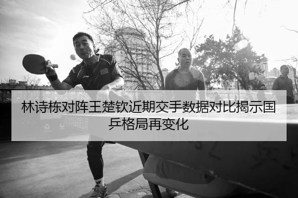 林诗栋对阵王楚钦近期交手数据对比揭示国乒格局再变化